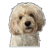 cuqui
