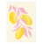 limón
