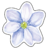 acuarela c