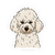 caniche