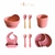 SET DE ALIMENTACION ELEFANTE - tienda online