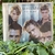 Westlife- Coast to coast