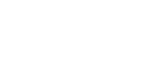 BullChest.cl