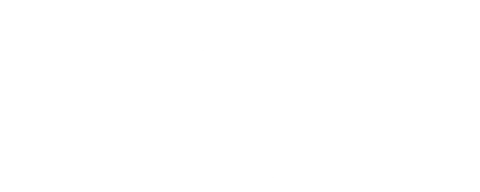 BullChest.cl