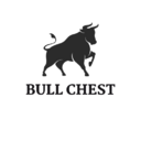 bullchest.cl favicon