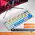 Dominus Teclado mecânico interruptor azul e vermelho - 10 tipos de iluminação RGB para jogos - loja online
