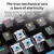 Dominus Teclado mecânico interruptor azul e vermelho - 10 tipos de iluminação RGB para jogos na internet