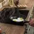 Kit de colheres de Silicone - loja online