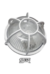 TORTUGA PVC - tienda online