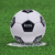 Bola Oficial Botafogo Futebol de Campo BFR-CPO-2 - comprar online