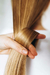 Cabelo indiano - Liso Selado - (TELA) - Premium 2