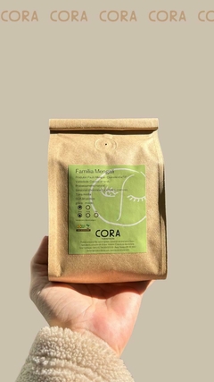 Café Especial Família Mengali na internet
