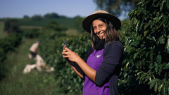 Frutas cítricas