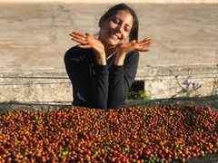 Imagem do Frutas cítricas