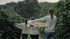 Frutas cítricas - Cora Torrefação