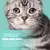 Toalhetes para olhos de animais de estimação, cães e gatos, tearmark, toalhet - loja online