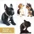 Coleira de corrente para cães, luxo, dourada, corrente de metal para animais de - Petz Promoções