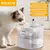 Bebedouro "CatFlow - Água Fresca e Corrente para o Seu Gato"