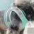 Conjunto de Arnês Ajustável para Cachorro e Gato Colete para Cães Trela Pet na internet