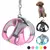 Conjunto de Arnês Ajustável para Cachorro e Gato Colete para Cães Trela Pet - comprar online