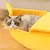 Imagem do Banana gato cama casa engraçado bonito aconchegante gato esteira camas quente d