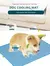 Cão esteira de resfriamento verão pet cama fria extra grande para cães pequen
