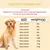 Coleira cubana de diamante para corrente de cachorro, coleira de corrente de met - Petz Promoções