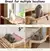Cama de cabeceira para animais de estimação ninho janela suspensa cama de gato na internet