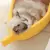 Banana gato cama casa engraçado bonito aconchegante gato esteira camas quente d