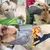 Focinho para cachorro, focinhos cobertores de malha macia, proteção de isca en na internet
