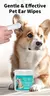 Produtos de limpeza para animais de estimação Toalhetes de limpeza de ouvido C - Petz Promoções