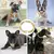 Coleira de corrente para cães, luxo, dourada, corrente de metal para animais de - comprar online