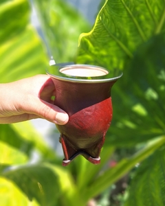 Mate Camionero de Calabaza + Bombilla pico loro de acero - comprar online