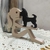 Enfeite Decorativo Garota com Cachorro - loja online