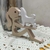Imagem do Enfeite Decorativo Garota com Cachorro