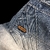 Imagen de AKADEMICS FADED