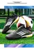 Imagem do Chuteira F50 Fast Reborn