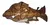 Set Asador Kit Parrillero Juego Tabla Picada Pescado Copetín - MADERASARTESANALESALPASAR