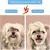 Escova para Pets, fácil remoção de pelos