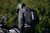 Imagen de MOCHILA DOWNTOWN IMPERMEABLE - CROSS ROADS