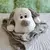 Peluche Almohadón + Manta / Gris - comprar online