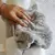 Peluche Almohadón + Manta / Gris - Blanco Mdq