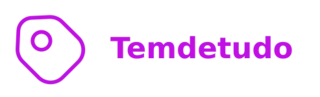Temdetudo