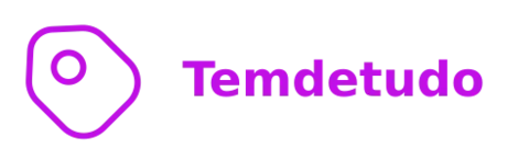Temdetudo