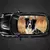 Border Collie Dog Car Telhado Adesivo, Envoltório Racing SUV Acessórios Embalagem, PVC pintado, Decalque Gráfico Personalizado - Mag wn