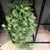 Videira Artificial Tropical Verde 100cm — Folhagem Decorativa Pendurada