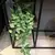 Videira Artificial Tropical Verde 100cm — Folhagem Decorativa Pendurada - comprar online