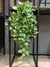 Videira Artificial Tropical Verde 100cm — Folhagem Decorativa Pendurada - Nó