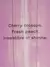 Body Mist Love Spell Shimmer Victoria’s Secret Original - comprar en línea
