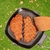 Imagen de Plancha 20cm Antiadherente Mango Plegable